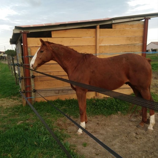 Photo de profil de berryblue91