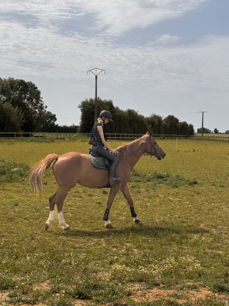 Photo de profil de bertille_lfbe