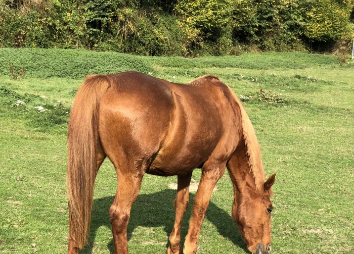 Photo de profil de bibiche61