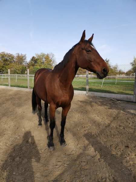 Photo de profil de bibily67