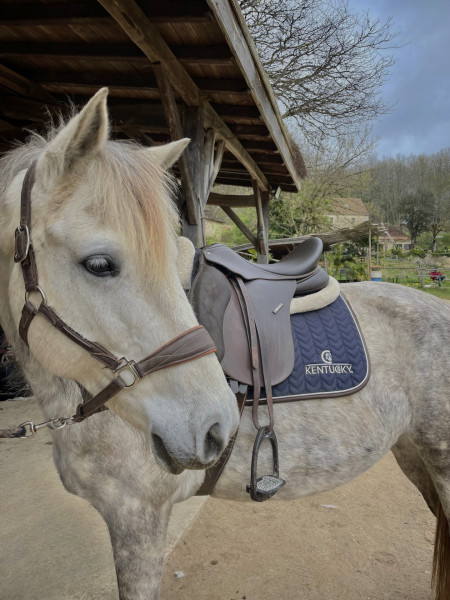 Photo de profil de bijouxdecodiere