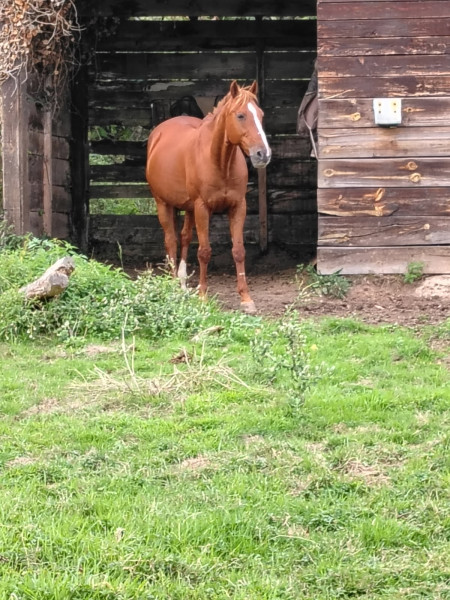 Photo de profil de bilel1364