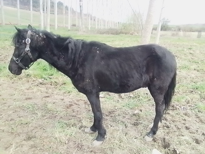 Photo de profil de blacky47