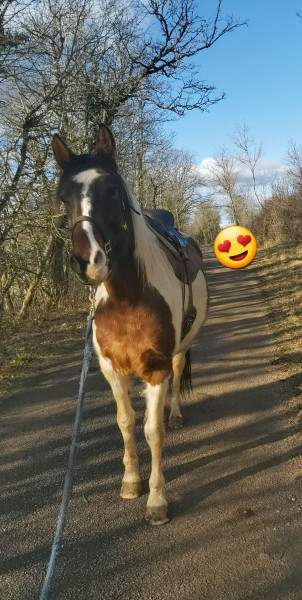 Photo de profil de blixblix03