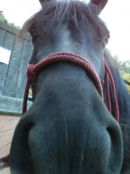 Photo de profil de blue_moon