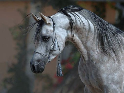 Photo de profil de bluemoon1