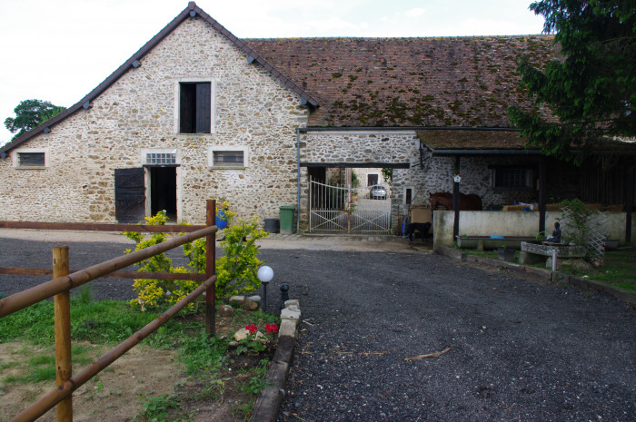 Photo de profil de bmequestrian78