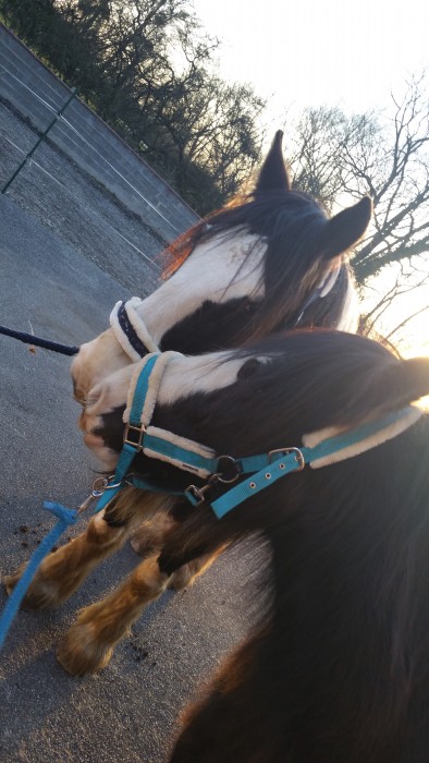 Photo de profil de bobichette57