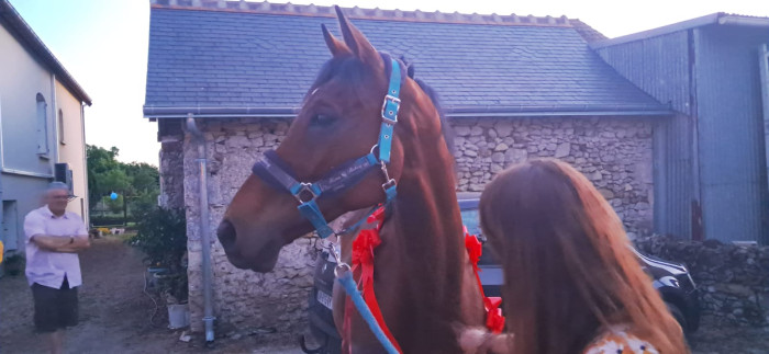 Photo de profil de boido