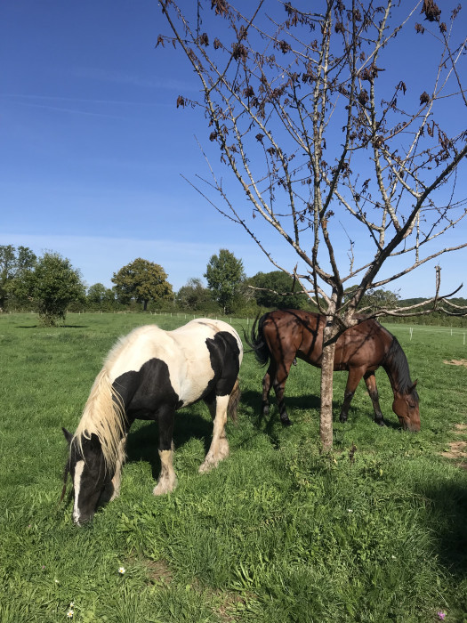 Photo de profil de bonniecopernic