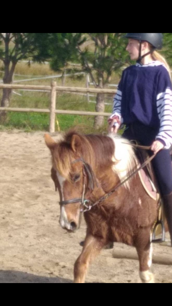 Photo de profil de boster_equin