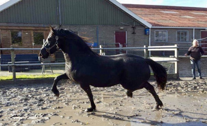 Photo de profil de bounty25