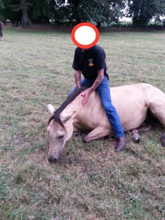 Photo de profil de bourboute56