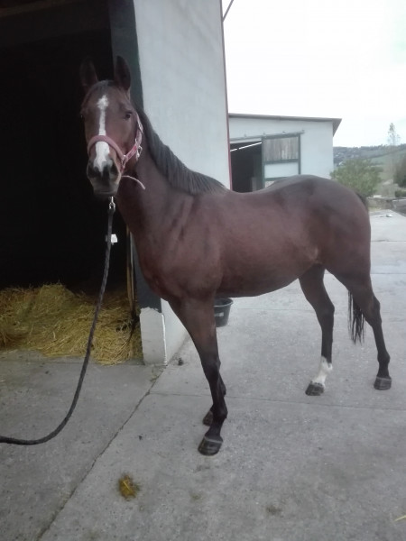 Photo de profil de boutmira