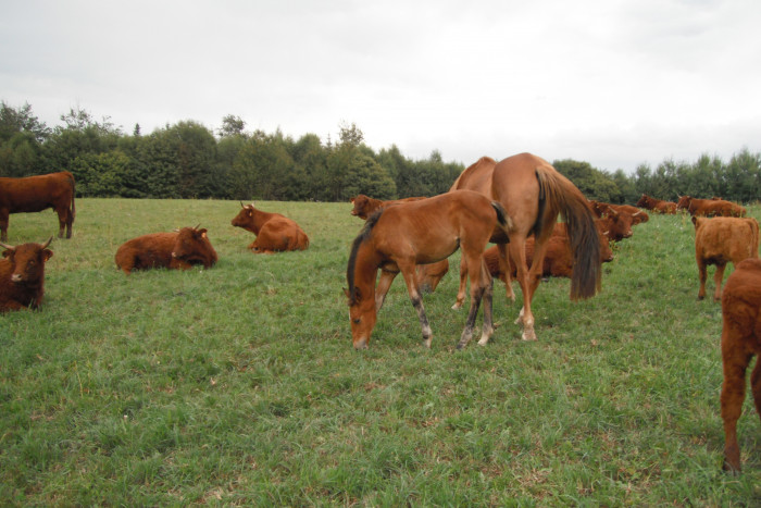 Photo de profil de brug