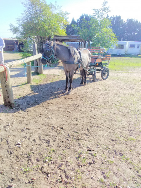 Photo de profil de brulin