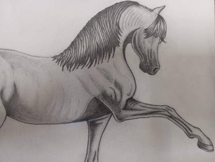 Photo de profil de brume_des_anges