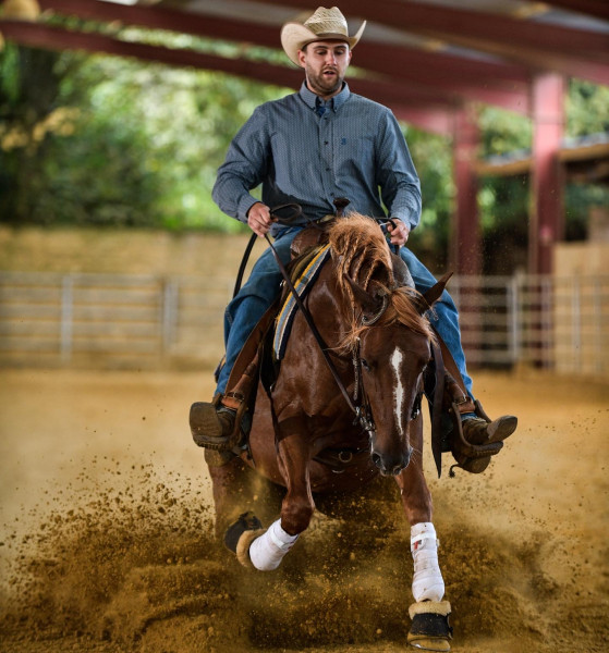 Photo de profil de bs72