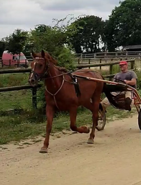 Photo de profil de bube