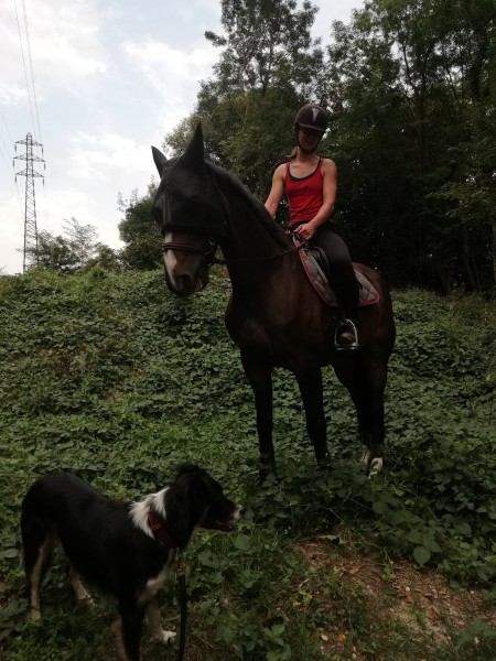 Photo de profil de buddieflack