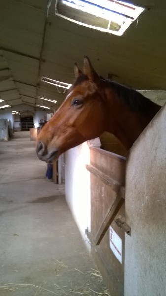 Photo de profil de butters