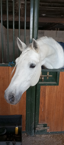 Photo de profil de cabalou39