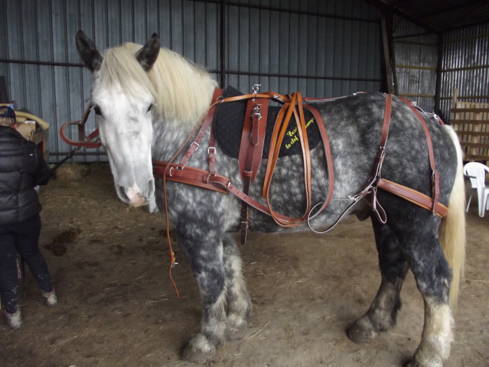 Photo de profil de cabochard