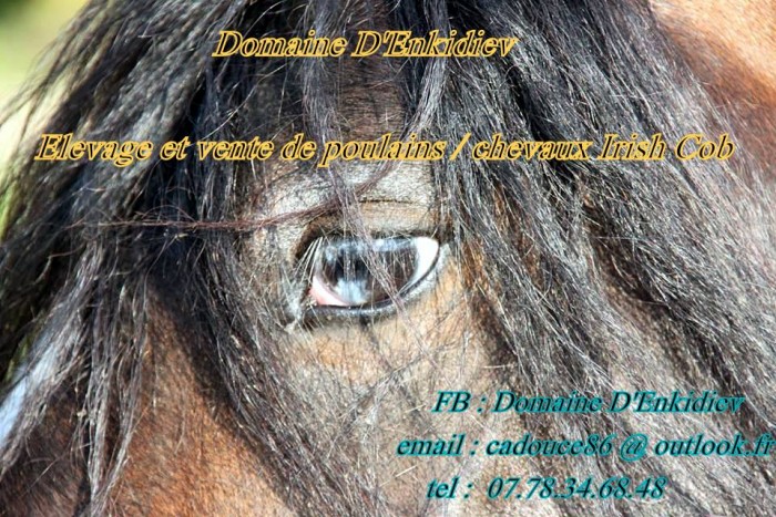 Photo de profil de cadouce