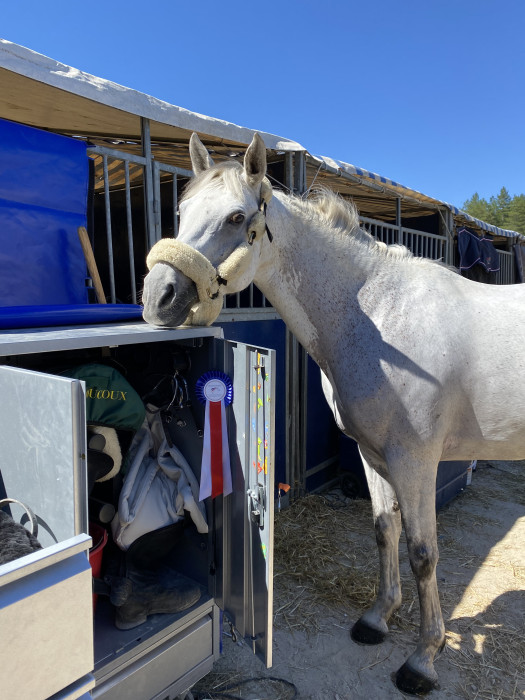 Photo de profil de caliere19