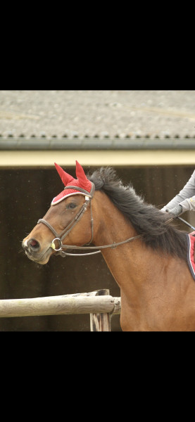 Photo de profil de camille1450