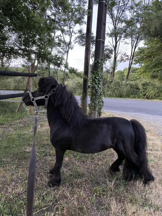 Photo de profil de camilleetblacky