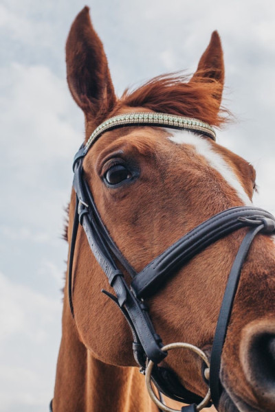 Photo de profil de camille_pl