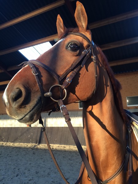 Photo de profil de camilleunessca