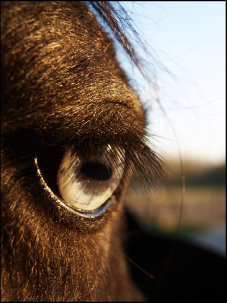 Photo de profil de camille.vaquero