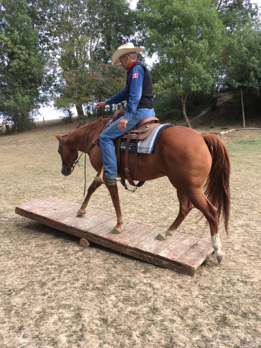 Photo de profil de capde37