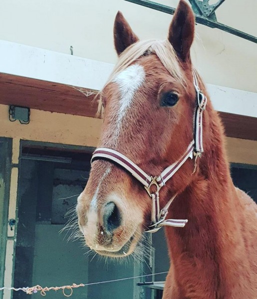 Photo de profil de capillotatiana