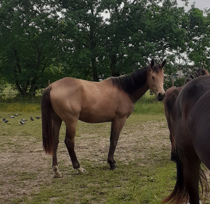 Photo de profil de capri82