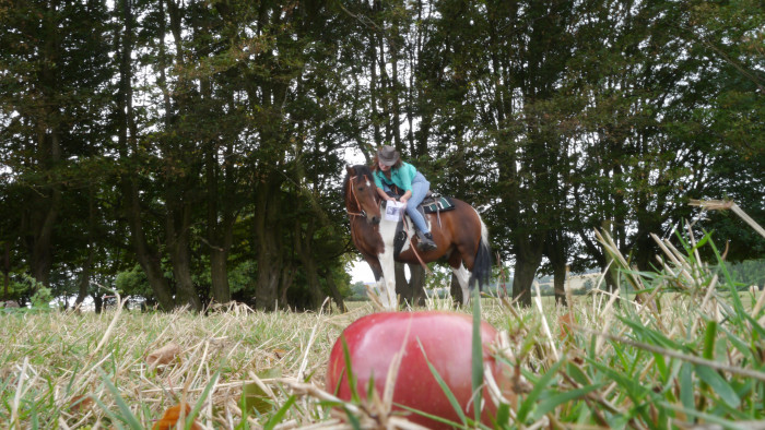 Photo de profil de caramou02
