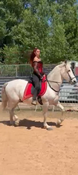 Photo de profil de carapios83660