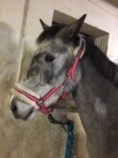 Photo de profil de carembar