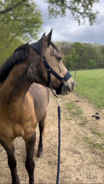 Photo de profil de carlouu227