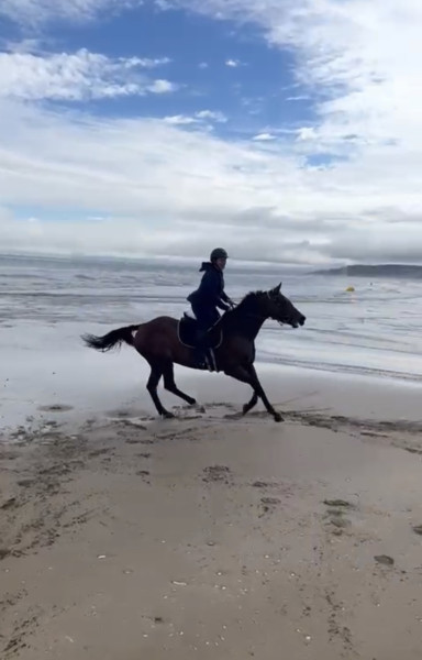 Photo de profil de caro130414