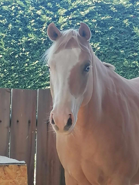 Photo de profil de caro262