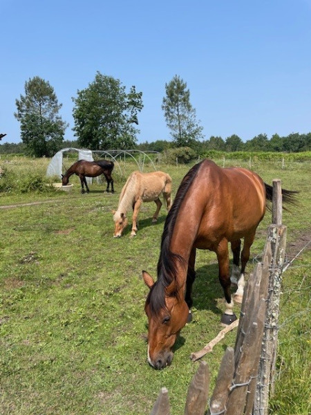 Photo de profil de caroepona