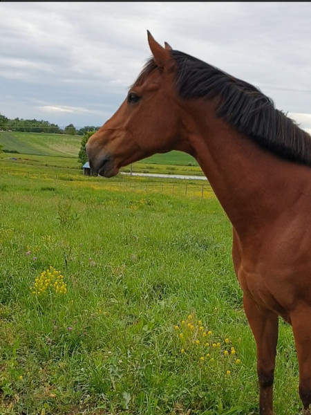 Photo de profil de caroju14