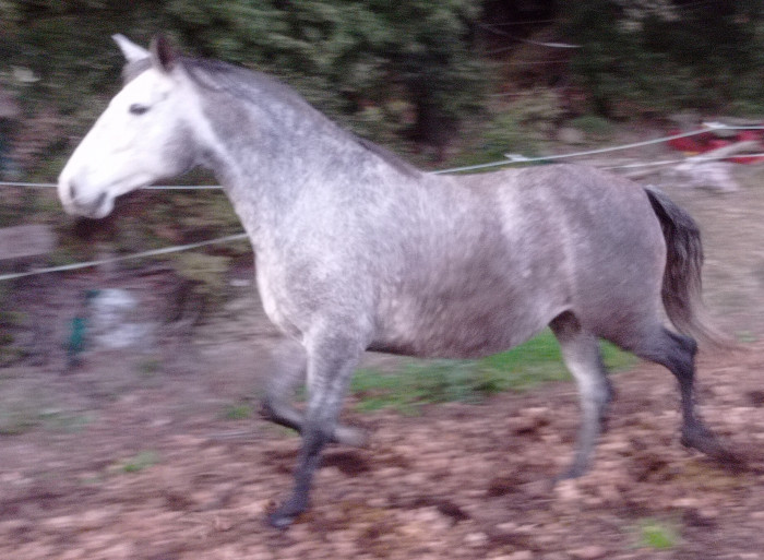 Photo de profil de carolina1969