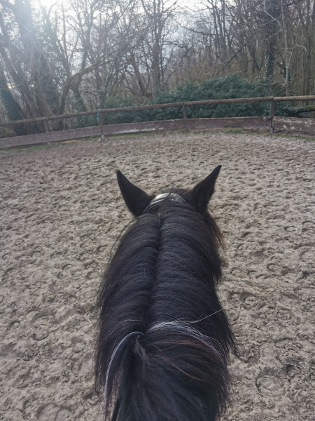 Photo de profil de caroline1703