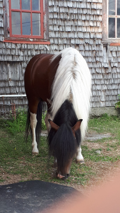 Photo de profil de carolive