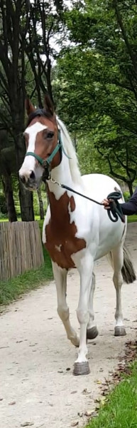 Photo de profil de carotexier