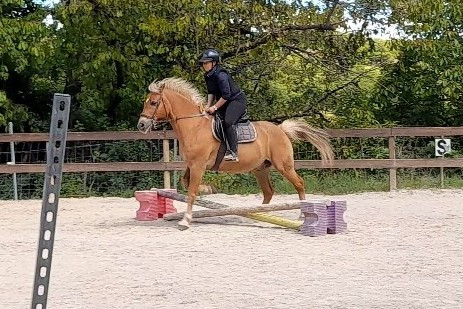 Photo de profil de caroux